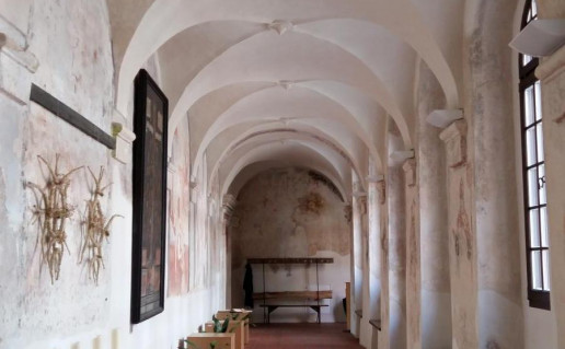 6_Tytuvėnų bažnyčia ir vienuolynas_r1.jpg